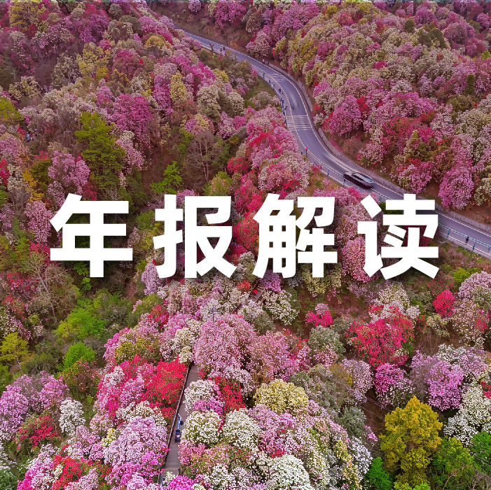 　　【wwww.milan.com科技消息】近日，根据国际数据公司（IDC）发布的2026年Q1中国折叠屏智能手机市场跟踪报告，华为在中国折叠屏市场的份额高达60%；荣耀以21%的市场份额牢牢占据第二 